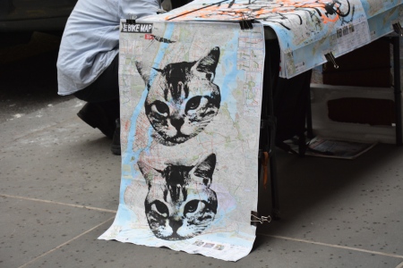 Tout ce dont nous avons besoin : une carte et un chat / All we need : a map and a cat